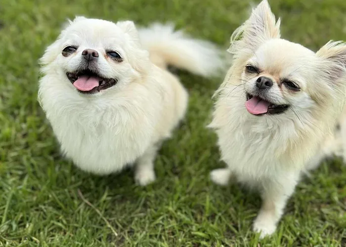 Laura Sauna & Goraca Balia Hytte Jastrzębia Góra